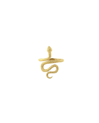 Anillo Snake
