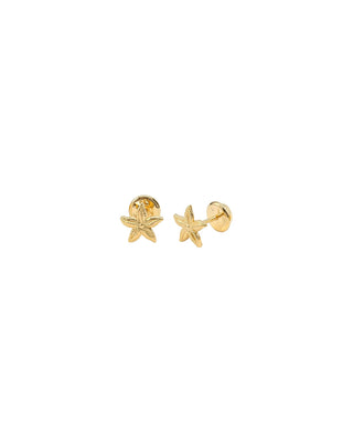 Topos Estrella de Mar